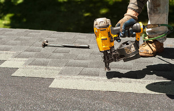 Best Storm Damage Roof Repair  in Underwood Petersville, AL