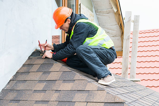 Best Gutter Installation and Roofing  in Underwood Petersville, AL