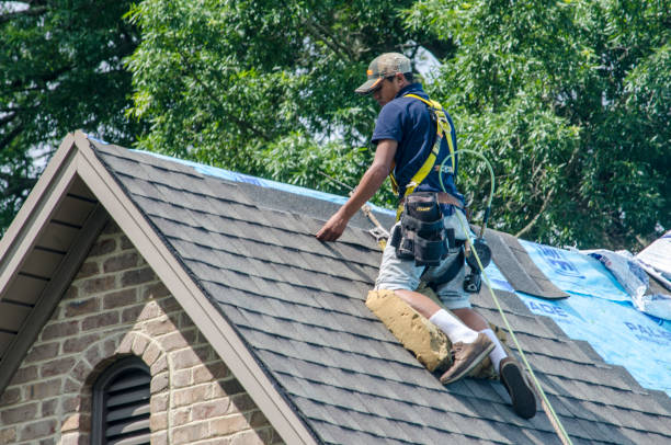 Best Roof Gutter Cleaning  in Underwood Petersville, AL